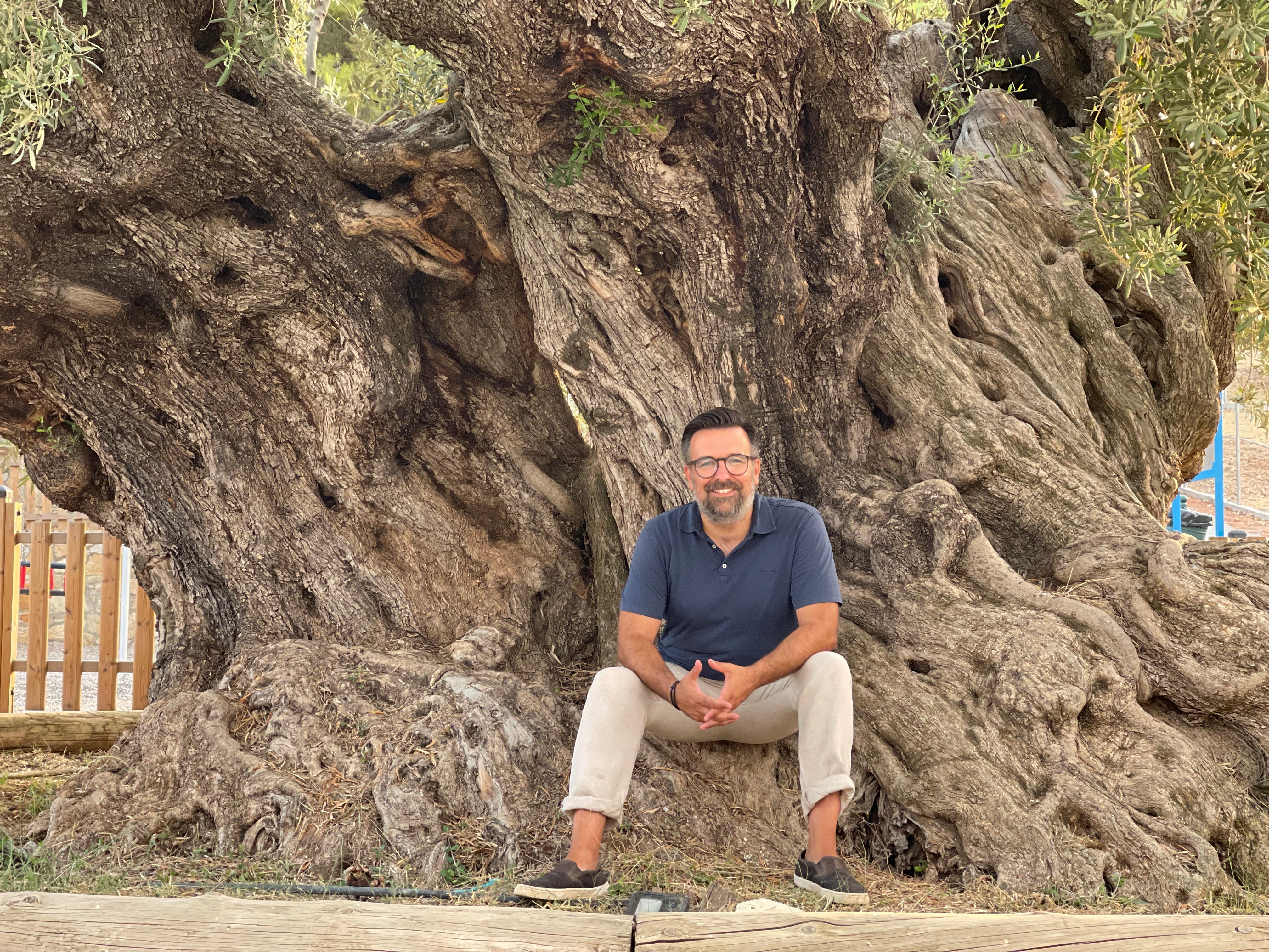 Der Olivenbaum: Klimaretter, Rohstoffwunder & Kulturgut  Jordan Olivenl