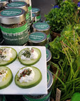 Spirit of Spice - Schrebergarten Salz - 55g