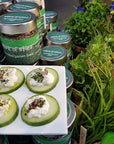 Spirit of Spice - Schrebergarten Salz - 55g