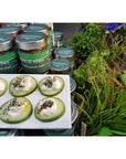 Spirit of Spice - Schrebergarten Salz - Nachfüllkarton - 80g