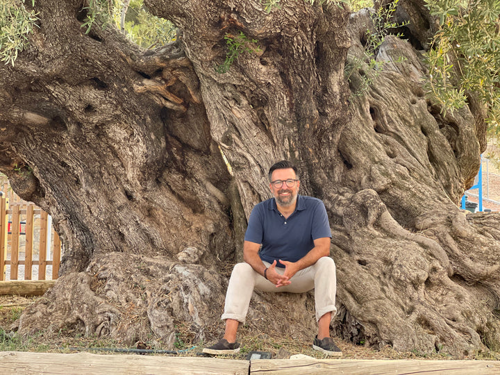 Der Olivenbaum: Weit mehr als nur Öl – Ein Symbol für Zukunft und Nachhaltigkeit