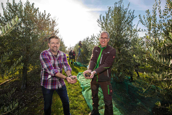 Das nördlichste Olivenöl der Welt kommt aus Deutschland