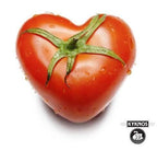 KYKNOS S.A. Greek Canning - Tomatenmark - doppelt konzentrierte Tomatenpaste aus Griechenland - 28-30% - 200g Dose