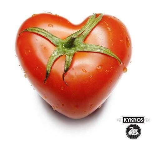KYKNOS S.A. Greek Canning - Tomatenmark - doppelt konzentrierte Tomatenpaste aus Griechenland - 28-30% - 200g Dose
