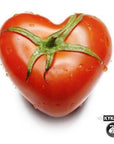 KYKNOS S.A. Greek Canning - Tomatenmark - doppelt konzentrierte Tomatenpaste aus Griechenland - 28-30% - 410g Dose