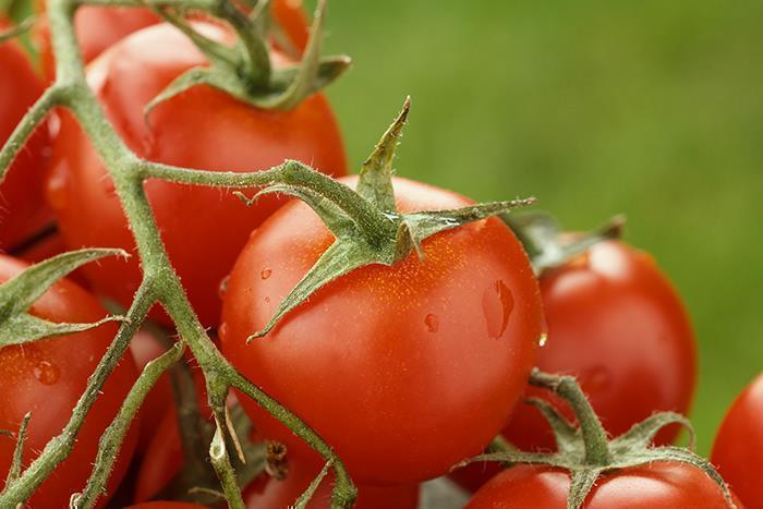 KYKNOS S.A. Greek Canning - Tomatenmark - doppelt konzentrierte Tomatenpaste aus Griechenland - 28-30% - 410g Dose