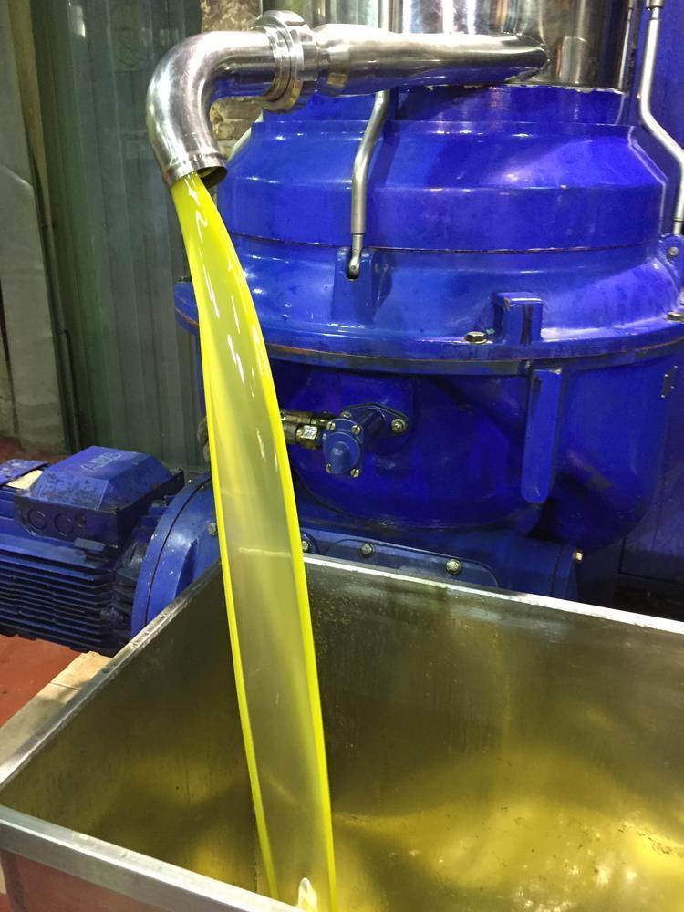 Jordan Olivenöl - FRÜHABFÜLLUNG - natives Olivenöl extra - Kanister - 5,00 Liter