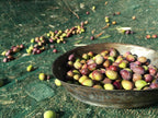 Jordan Olivenöl - FRÜHABFÜLLUNG - natives Olivenöl extra - Kanister - 5,00 Liter