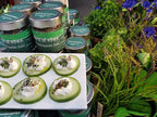 Spirit of Spice - Schrebergarten Salz - 55g