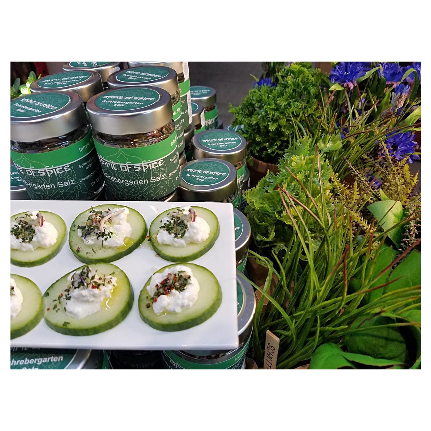 Spirit of Spice - Schrebergarten Salz - Nachfüllkarton - 80g