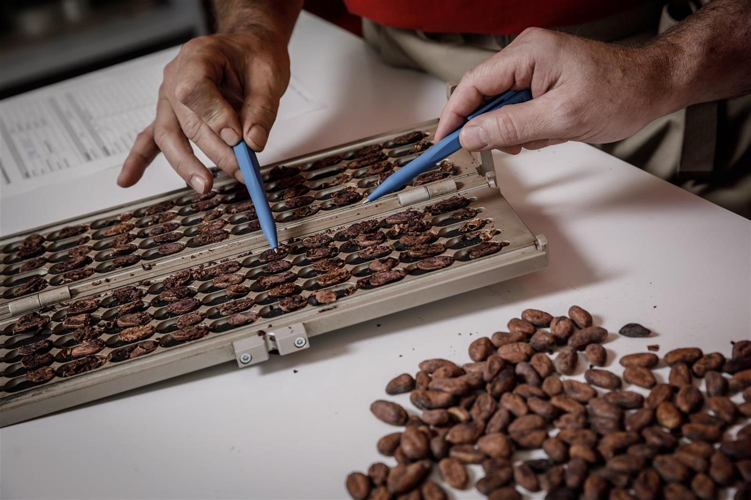 Original Beans - BIO Femmes de Virunga 55% Schokolade - 70g Tafel - CH-BIO-006