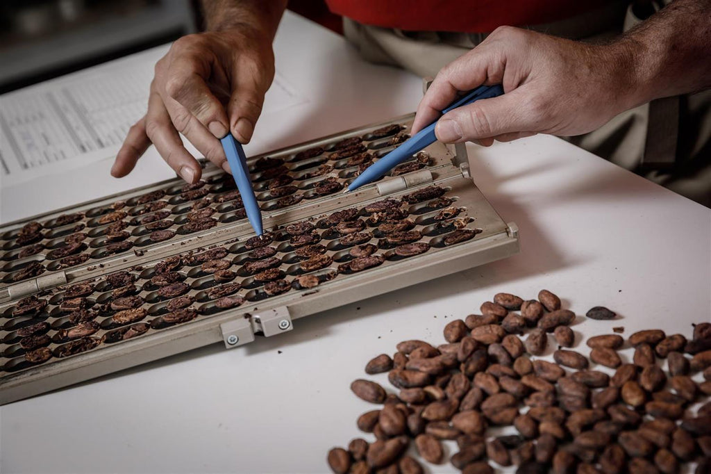Original Beans - BIO Piura 75% Schokolade - 70g Tafel / CH-BIO-006